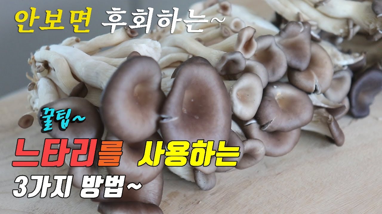 간단하고 맛있는 느타리 버섯 3가지 요리~ 3 kinds of oyster mushroom recipe, korea food recipe ~ [강쉪]