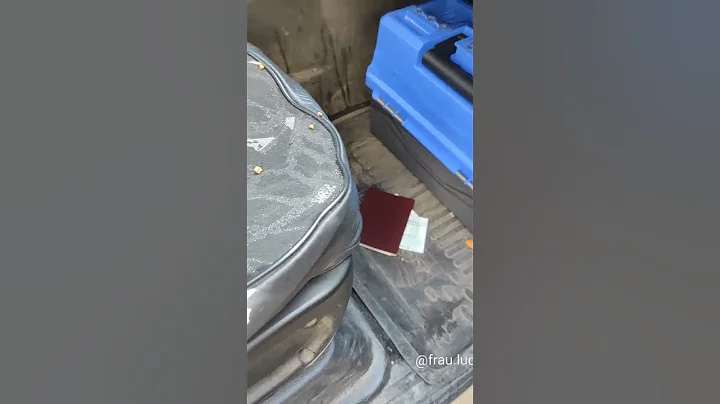 Monkey lifestyle living at home,  #short