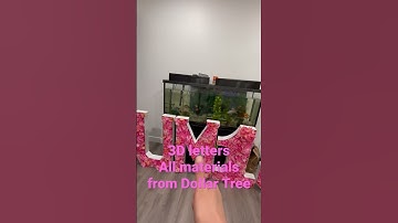 3D letters | Dollar Tree