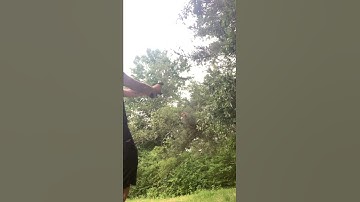 Dual p80 g19 mag dump #p80 #polymer80 #2ndamendment #glock19 #glock #legallydangerous #shorts #9mm