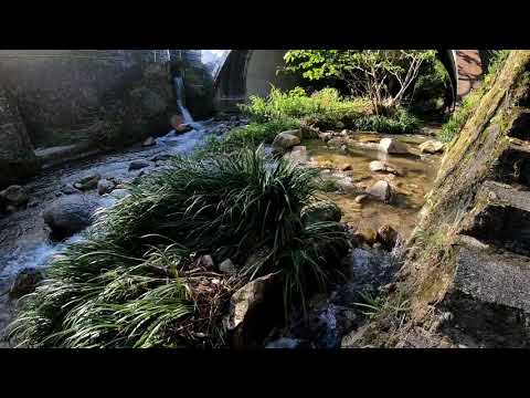 【ASMR | 水の音 | 自然音】せせらぎBGM【nature sounds | water sounds】