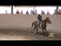 TRAINING THE YOUNG HORSE: FIRST WEEK by Monty Roberts