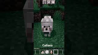 Сабака... Ааааааааа #minecraft #Сабака #Ааааа