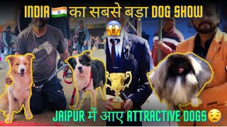 India 🇮🇳 का सबसे बड़ा Dog Show 😱 Jaipur में आए Attractive Dogs😧