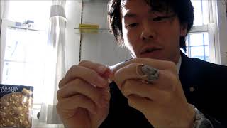 アコヤ真珠　イヤリング　オーダーメイド