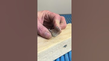 Quick Clip Tip #shorts