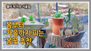 청운재 [211] 분갈이 흙 배합방법 / 봄꽃으로 정원 꾸미기 / 석부작 만들기