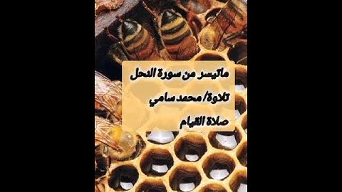 ماتيسر من سورة النحل تقبل الله منا ومنكم #تلاوات #القرآن_الكريم #قرآن #رمضان #quran #شورتس