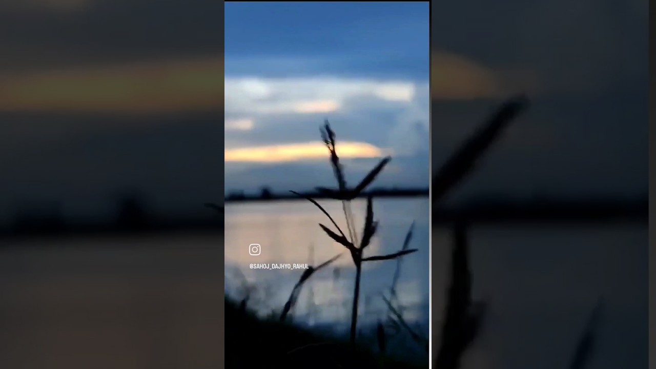 beauty of nature🤍 koipul 