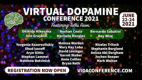 Roy Wise -A Dopamine History
