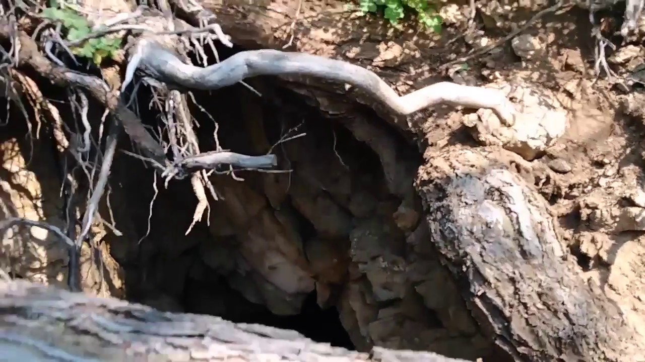 Beaver Creek Mine Exploration YouTube