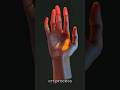 art process Reference study | HANDS #digitalart #speedpaint #drawing