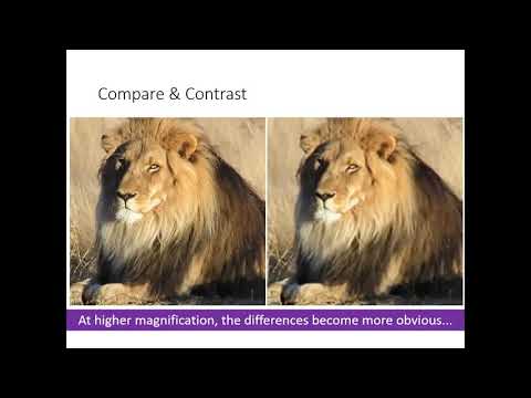 Magnification Resolution