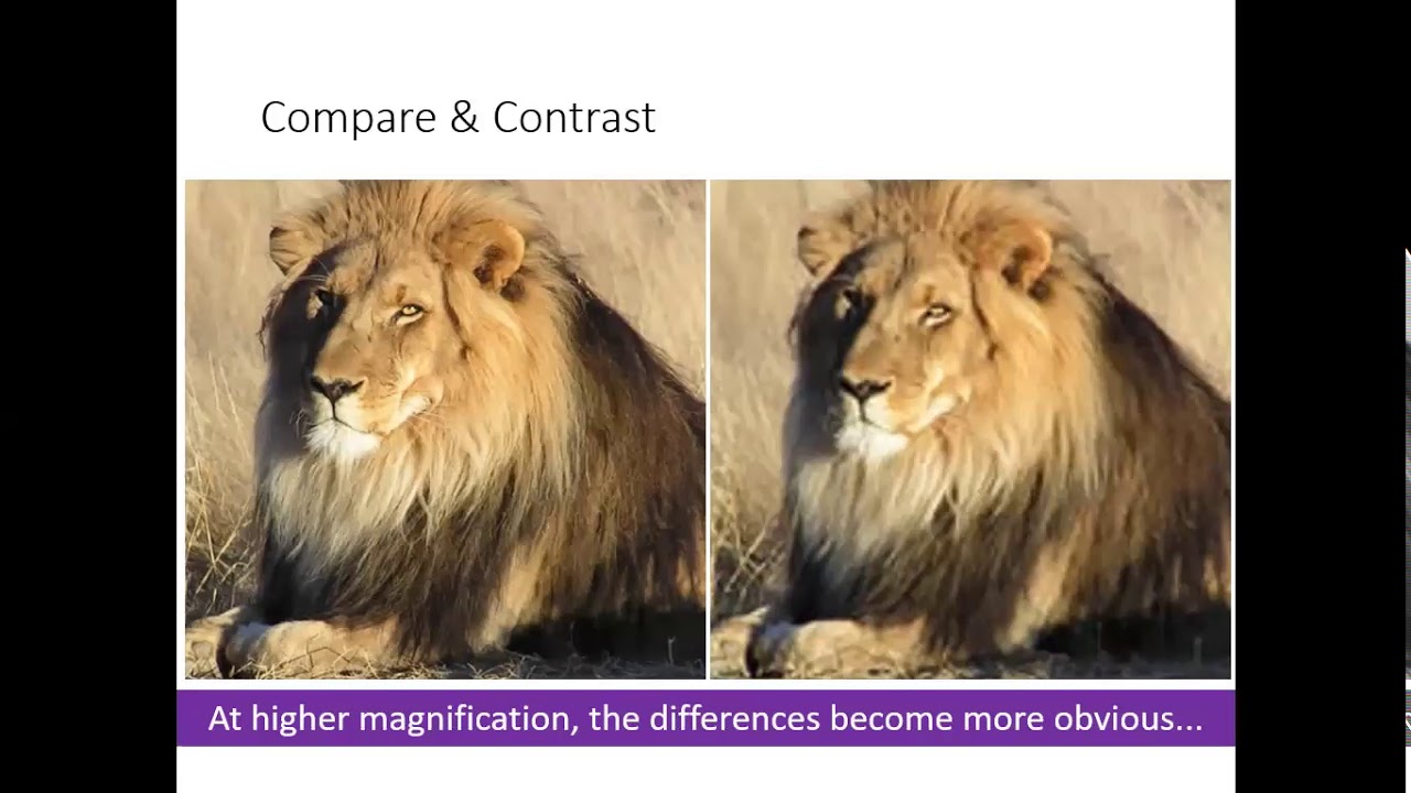 Magnification Resolution YouTube