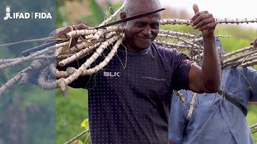 Fiji: Rural resilience using traditional practices