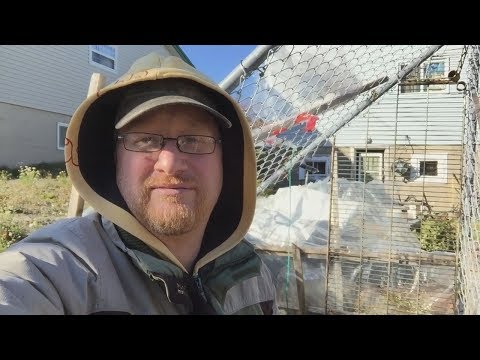 deconstructing the old greenhouse