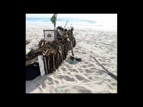 "la plage" de grandpalandran (chanson française) "la plage" de grandpalandran (chanson française)