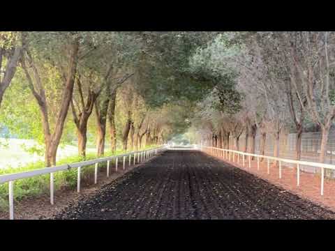 اصيل ابوبكر ياذا الحبيب