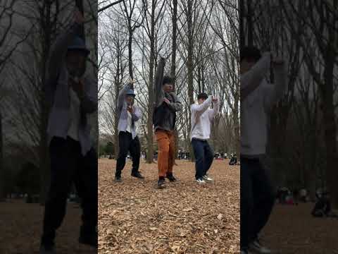 ShortDance 魔訶不思議アドベンチャーで踊ってみた ドラゴンボール