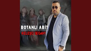 Here Lawık (Segavi)