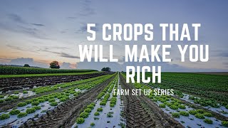 Profitable Crops to grow in 2024|| CROPS that will make you RICH #farming, #farmsetup, #agriculture