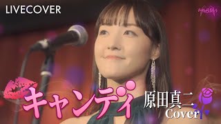 『キャンディ』原田真二  アコースティックカバー