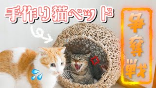 猫たちのために丸型ベッドを作ったら争奪戦になってしまった。