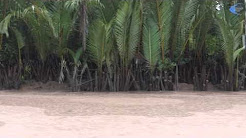 Flussfahrt auf dem Ben Tre im Mekong Delta
