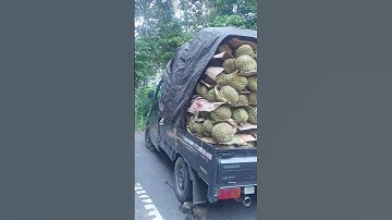 jalan poros penghubung kotaraya tolitoli ( pasir putih)