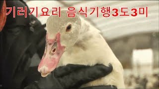 경북 군위의 별미 기러기 요리 KBS대구 음식기행 3도 3미