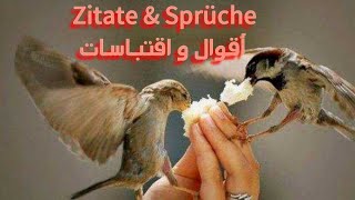 حكم و أقوال ماثورة باللغة الألمانية مترجمة للعربية❤️❤️❤️ Zitate und Sprüche