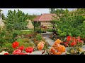 Our Beautiful Garden 🌸🌷🪴 |  Relaxing Garden  Tour and Tea Time | ASMR Video