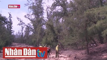 Bình Định cảnh báo nguy cơ cháy rừng cấp V