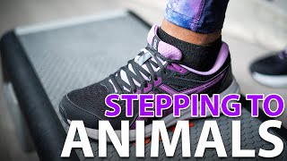 STEP FITNESS | MARTIN GARRIX - ANIMALS