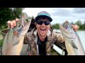 Fishing a Famous River Filled with HUGE SALMON!!! (Catch &amp; Clean)