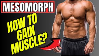 The Easiest Way To Build Muscle As A Mesomorph