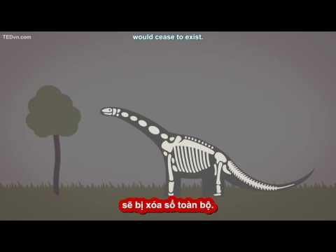 TED Ed Vietsub