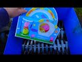 PEPPA PIG TOYS vs SHREDDER! DANGEROUS EXPERIMENT!