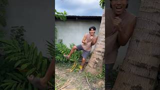 Singing vs Tree = Magic Vanish 😂🌳