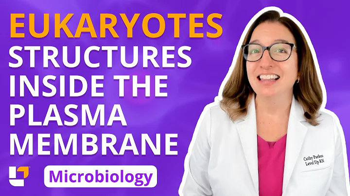 Eukaryotes: Structures Inside the Plasma Membrane - Microbiology for Health Fields | @LevelUpRN