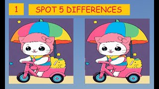 SPOT THE DIFFERENCE |   JAPANESE PUZZLE | 100 SECOND PUZZLE | #132