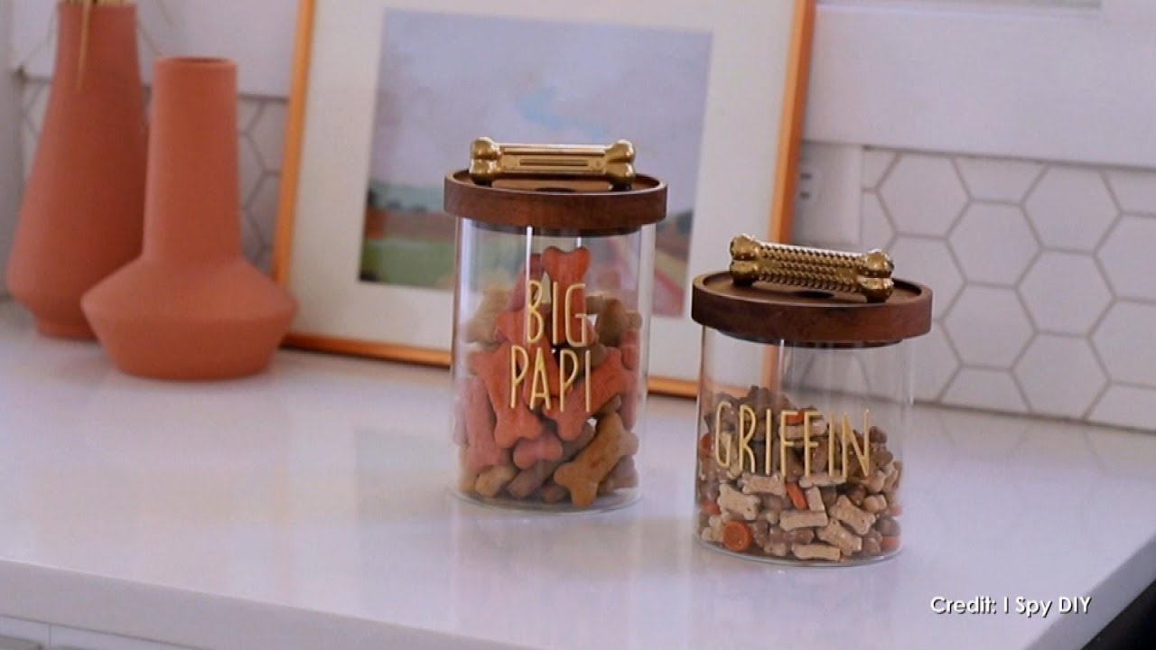 Dog Treat Holder DIY  Organize treats and leashes in an adorable way!