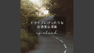 Young, Wild and Free (Cover)