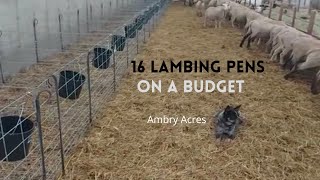 #lamb #farming #sheep How to Build Lambing Pens. Built for Setting Up and Taking Down. Resimi