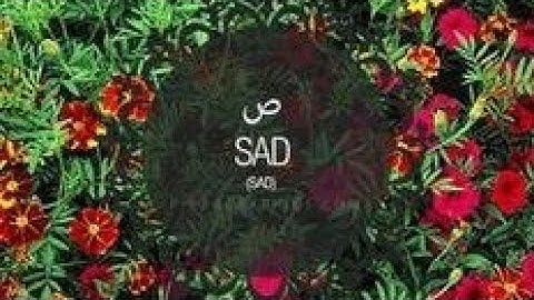 سورة ص مكتوبة ❤.. القارئ ماهر المعيقلي بتلاوة خاشعة تريح القلب والعقل بعيدا عن ضجيج الحياة أرح سمعك