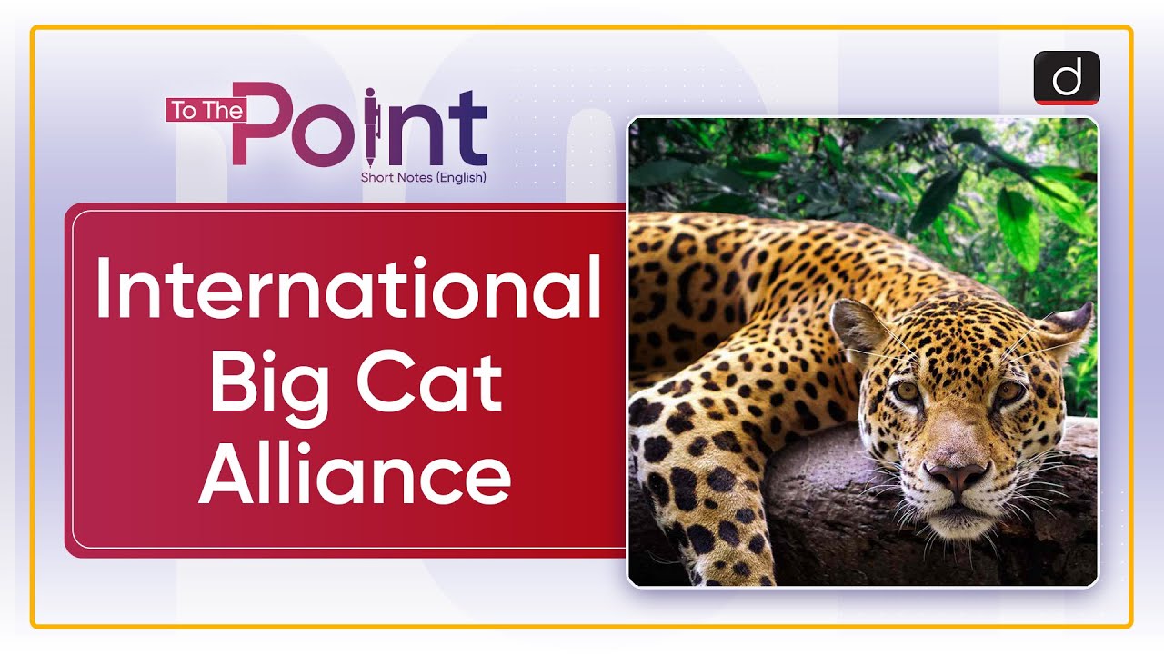 International Big Cat Alliance To the Point Drishti IAS English YouTube