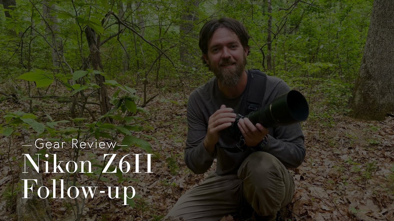 Nikon Z6II for Wildlife Photography Followup Thoughts YouTube