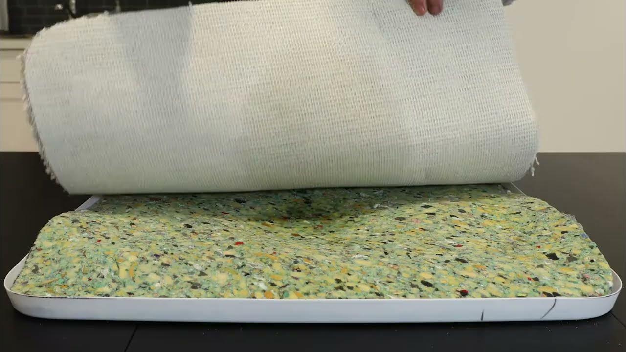 Zerorez Carpet Pet Treatment How to Properly Remove Pee Stains and