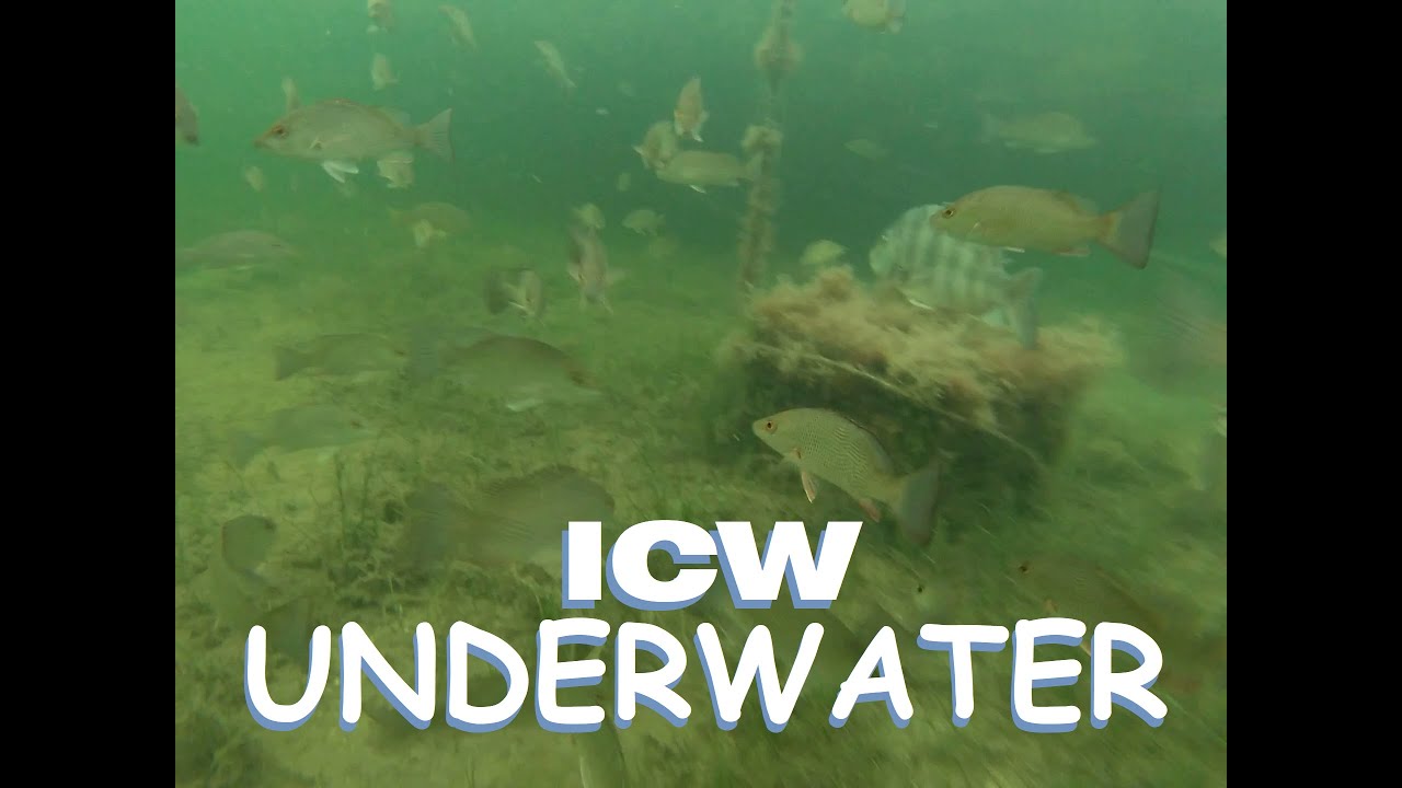 Underwater Clips of ICW Miami to Key Marathon