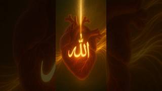 islamic dpz collection||♥️ Allah mohd#viral